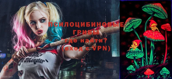 Альфа ПВП Арсеньев