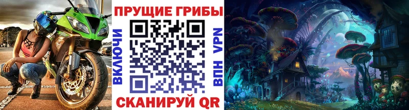 закладки  Кизел  Галлюциногенные грибы GOLDEN TEACHER 